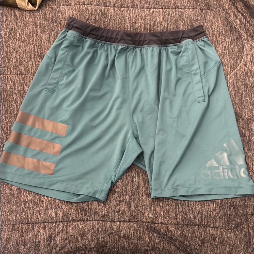 Adidas Men's Teal Shorts